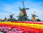 Lo Mejor de Paris y Paises Bajos