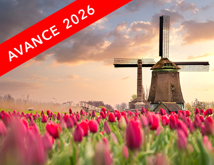 Crucero de los Tulipanes