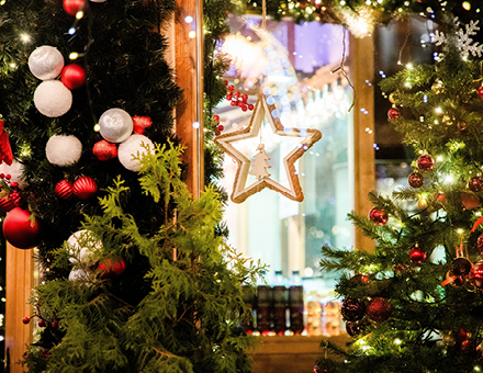 Crucero de Navidad en el Danubio