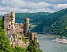 Romántico Rhin - A Rosa Flora.