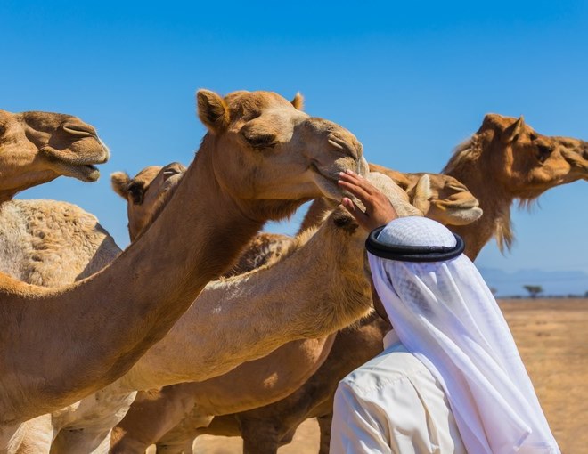 Jordania con Estambul y Capadocia