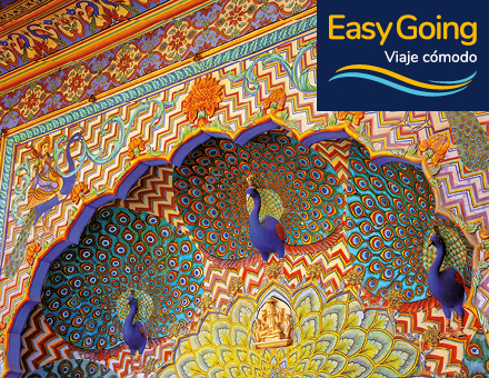 India: Triangulo de Oro + Safari