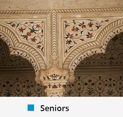 India: Triángulo de Oro + Safari